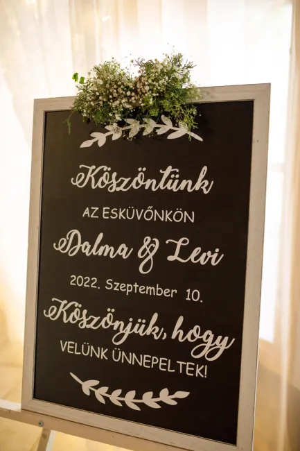 Dalma és Levi